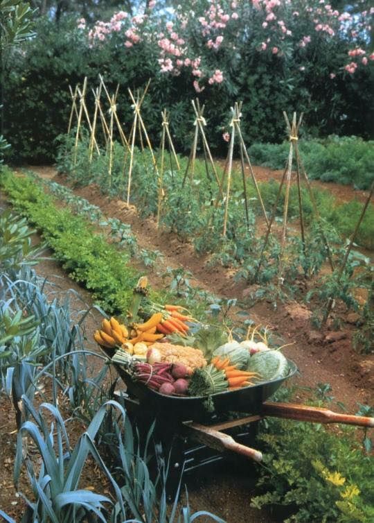 horta